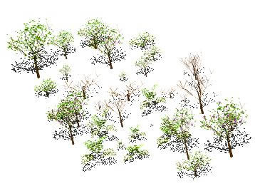 árvores 3D